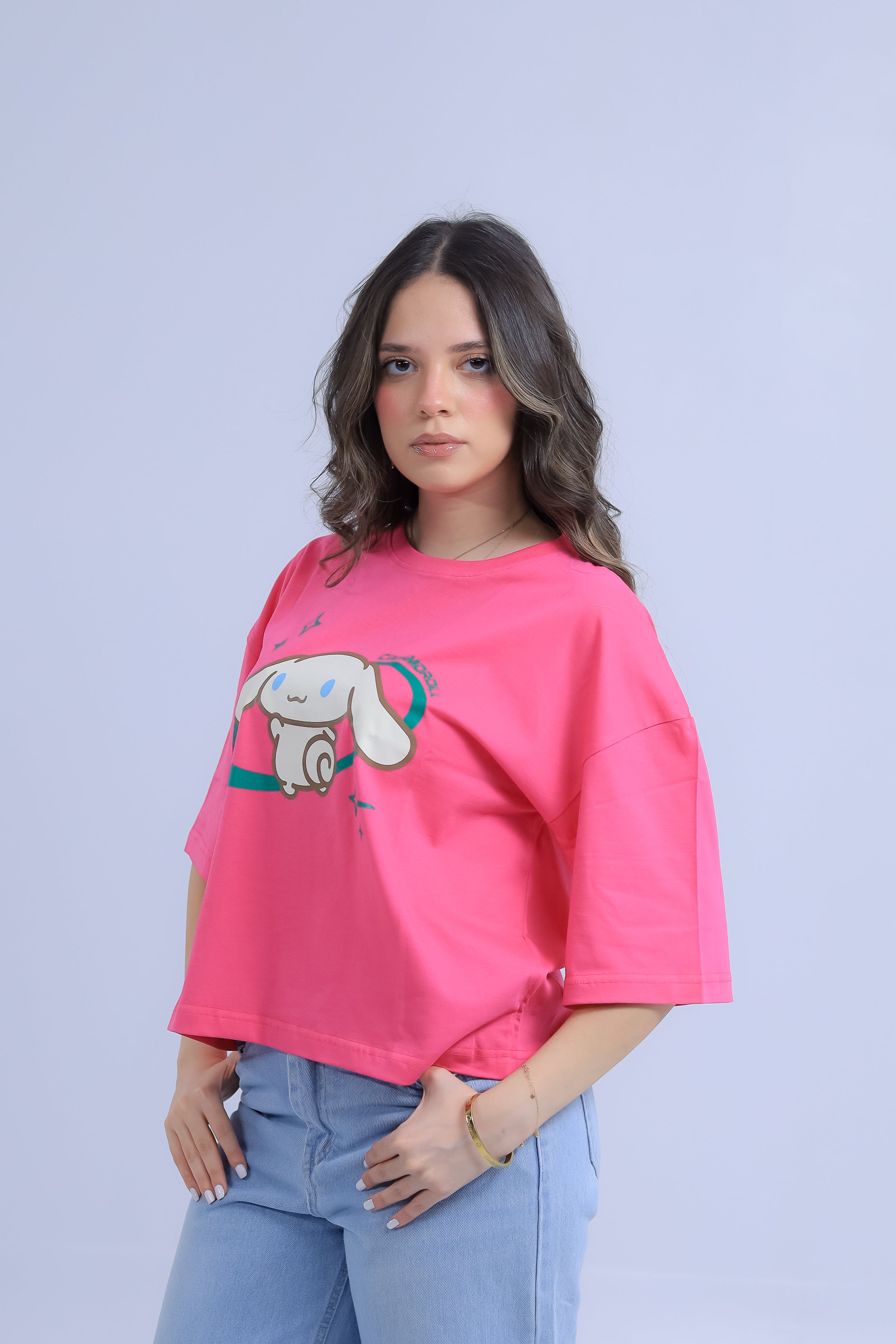 Oversized Cinnamoroll Print T-Shirt